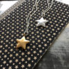 Hultquist Long Silver Necklace with Gold Star Pendant
