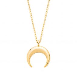 Estella Bartlett Mini Horn Necklace Gold Plated - EOL