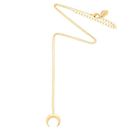 Estella Bartlett Mini Horn Necklace Gold Plated - EOL