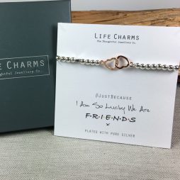Life Charms We Are Friends Silver Bracelet