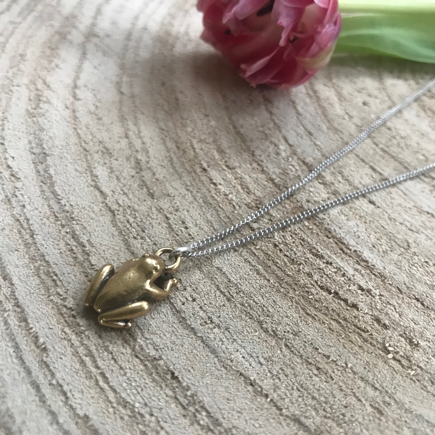 Hultquist Jewellery Frog Necklace