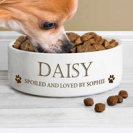 Personalised Paws Any Name and Message Medium White Pet Bowl - Dog or Cat 14cm