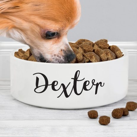 Personalised Medium White Ceramic Pet Bowl - Dog or Cat 14cm