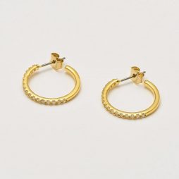 Estella Bartlett Classic Hoop Gold Plated Earrings with Cubic Zirconia