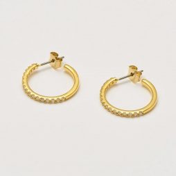 Estella Bartlett Classic Hoop Gold Plated Earrings with Cubic Zirconia