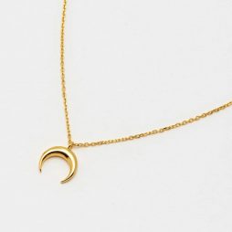 Estella Bartlett Mini Horn Gold Plated Necklace