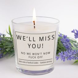Work Leaving Gift, New Colleague Candle, We'll Miss You No We Won't Know F*** Off Candle, New Job Gift, Work Gift,  Funny Leaving Present