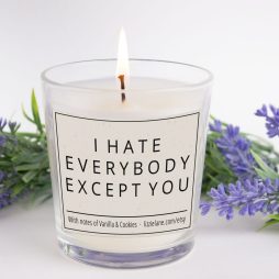 I Hate Everybody Except You Candle, Funny Candle, Scented Candle, Secret Santa Gift, Gift for Him, Gift for Her, Funny Gift For Friends