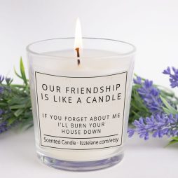 Scented Funny Candle, Our Friendship is Like a candle, If you forget me, I'll burn your house down Candle Gift