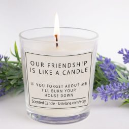 Funny Scented Candle, Our Friendship is Like a Candle, If You Forget Me, I'll Burn Your House Down