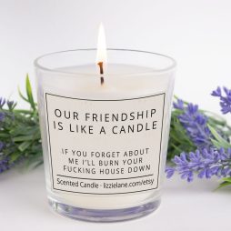 Funny Candle Gift, Our Friendship is Like a Candle, If You Forget Me, I'll Burn Your F***ing House Down