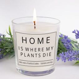 Home Is Where My Plants Die Scented Candle, best friend gift, birthday candle gift, funny birthday candle, funny gift