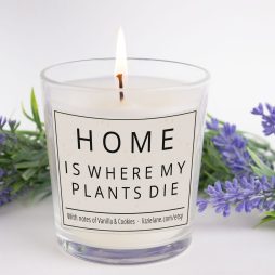 Plant Killer's Candle: Home is Where my Plants Die Funny Candle