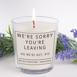 Leaving Gift, Leaving Work Gift Colleague, We're Sorry You're Leaving Candle, Leaving Present, Joke Candle, Funny Friend Candle