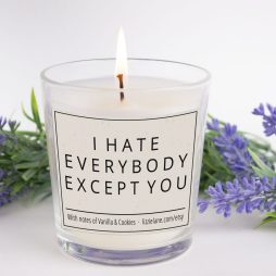 Funny Inappropriate Candle, I Hate Everybody Except You