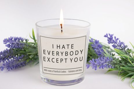 I Hate Everybody Except You Candle