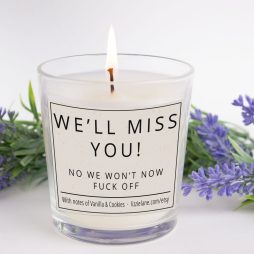 Funny Leaving Gift Candle, We'll Miss You No We Won't Now F**K Off