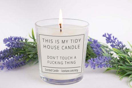 Don't Touch a Fucking Thing, Tidy House Candle: Funny Home Decor Gift