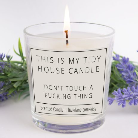 Don't Touch a Fucking Thing, Tidy House Candle: Funny Home Decor Gift