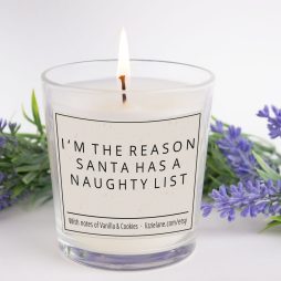 Gifts For Her Candle, I'm The Reason Santa Has A Naughty List Candle, Scented Candle Gift, Stocking Filler, Christmas Gifts, Funny Candle