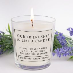 Scented Candle, Friendship Gift, Funny Friend Candle, Rude Candle, Swearing Candle, Funny Gift For Her, Christmas/Birthday Gift For Friend