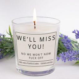 Funny Work Leaving Gift Rude Candle, We'll Miss You No We Won't Now Fuck Off Candle, Funny Leaving Present, Fun Gifts, Funny Rude Candle